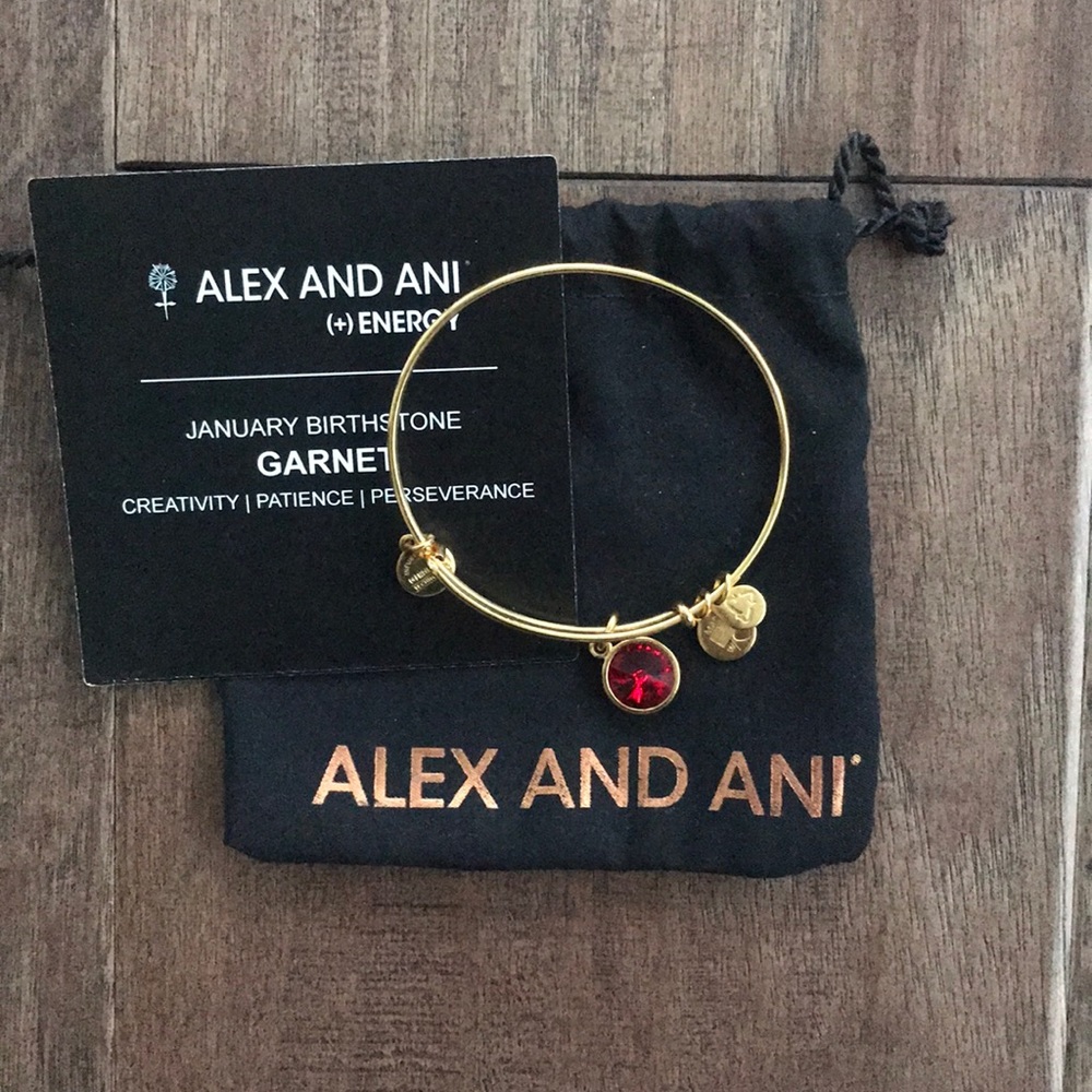 Garnet Alex and Ani Bracelet